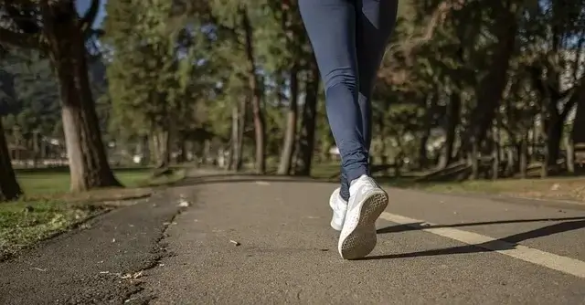 가장효과적인 다이어트 5가지 현실적으로 실천 가능한 루틴 2 가장효과적인-다이어트