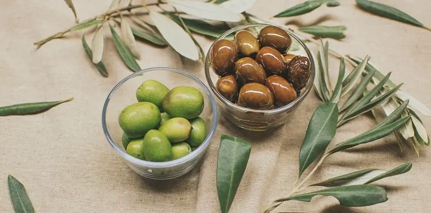 공복 올리브오일 효과부터 주의점까지 총정리 4 올리브오일-만드는-재료-올리브