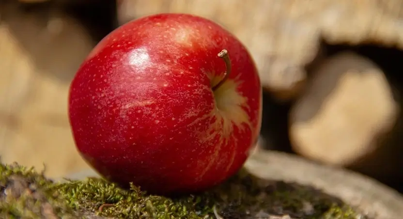 공복에 좋은 음식 BEST 5 3 공복에-좋은-음식-사과